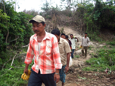 Forest officials to the rescue