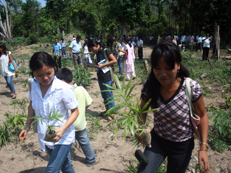 Observing World Environment Day