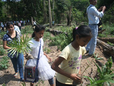 Observing World Environment Day