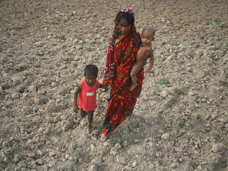 Parched field